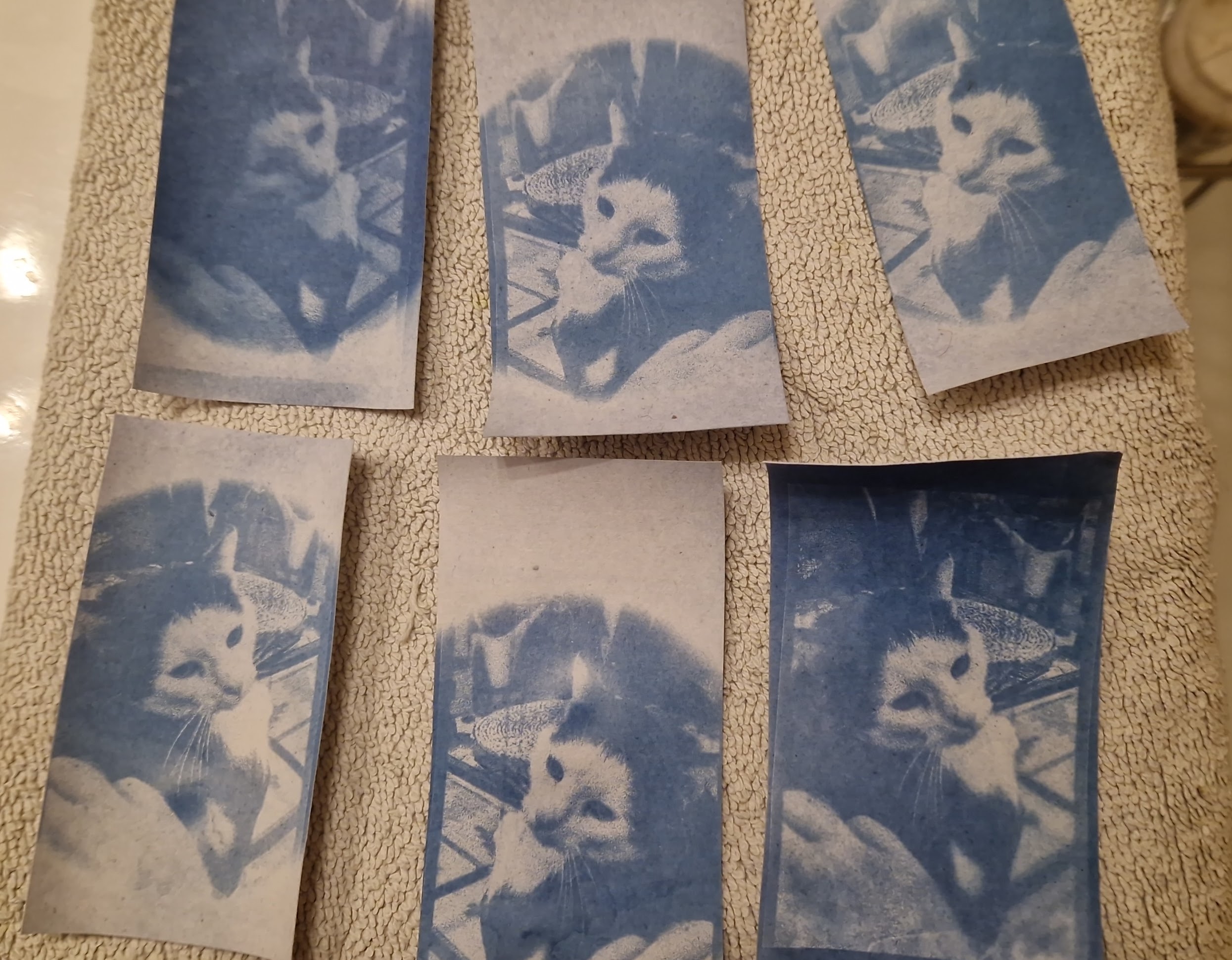 Cyanotypes with UV